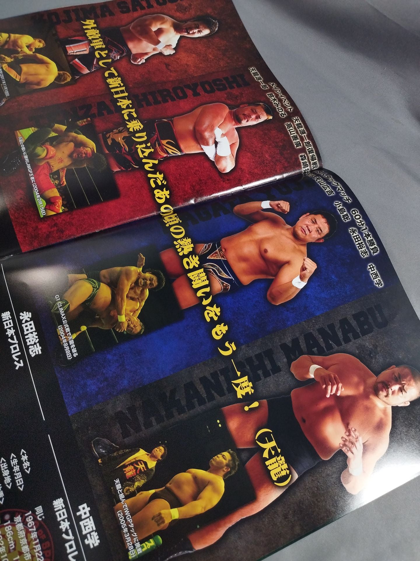 Tenryu  Project 10 VOL.9 TenryuGenichiro Return Battle ~Revolution~