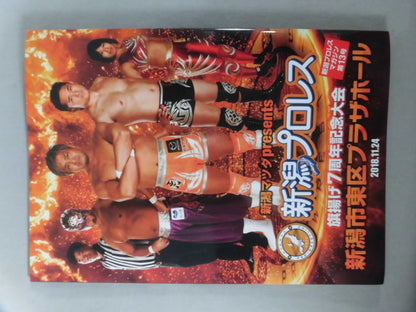 Niigata Pro Wrestling  Magazine Vol.13 [Flag Raising 7th Anniversary Tournament]