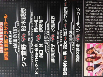 Niigata Pro Wrestling  Magazine Vol.13 [Flag Raising 7th Anniversary Tournament]