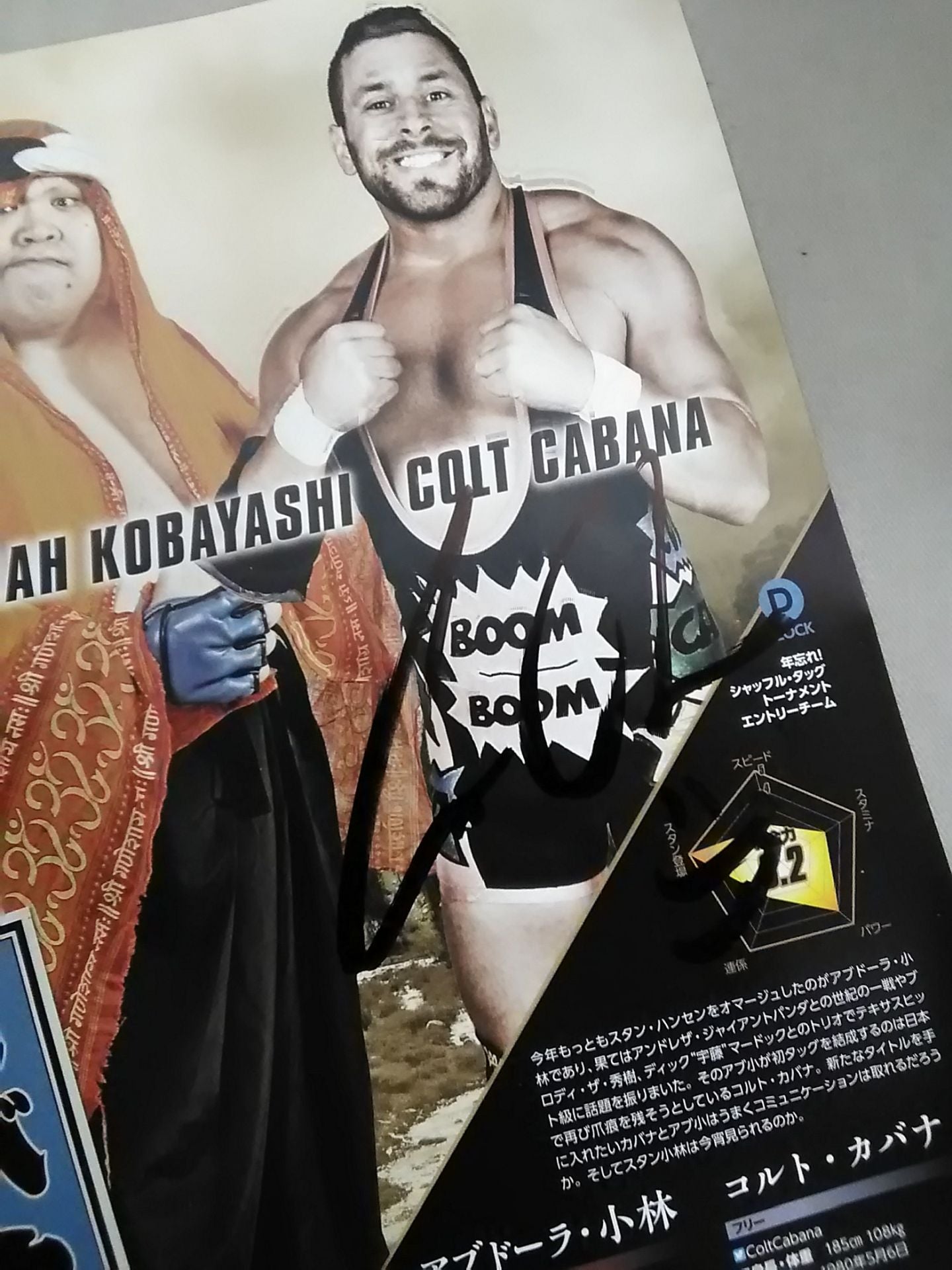 [8 fighters hand signed autograph New Year's Eve Pro Wrestling  2017 Shuffle Tag Tournament