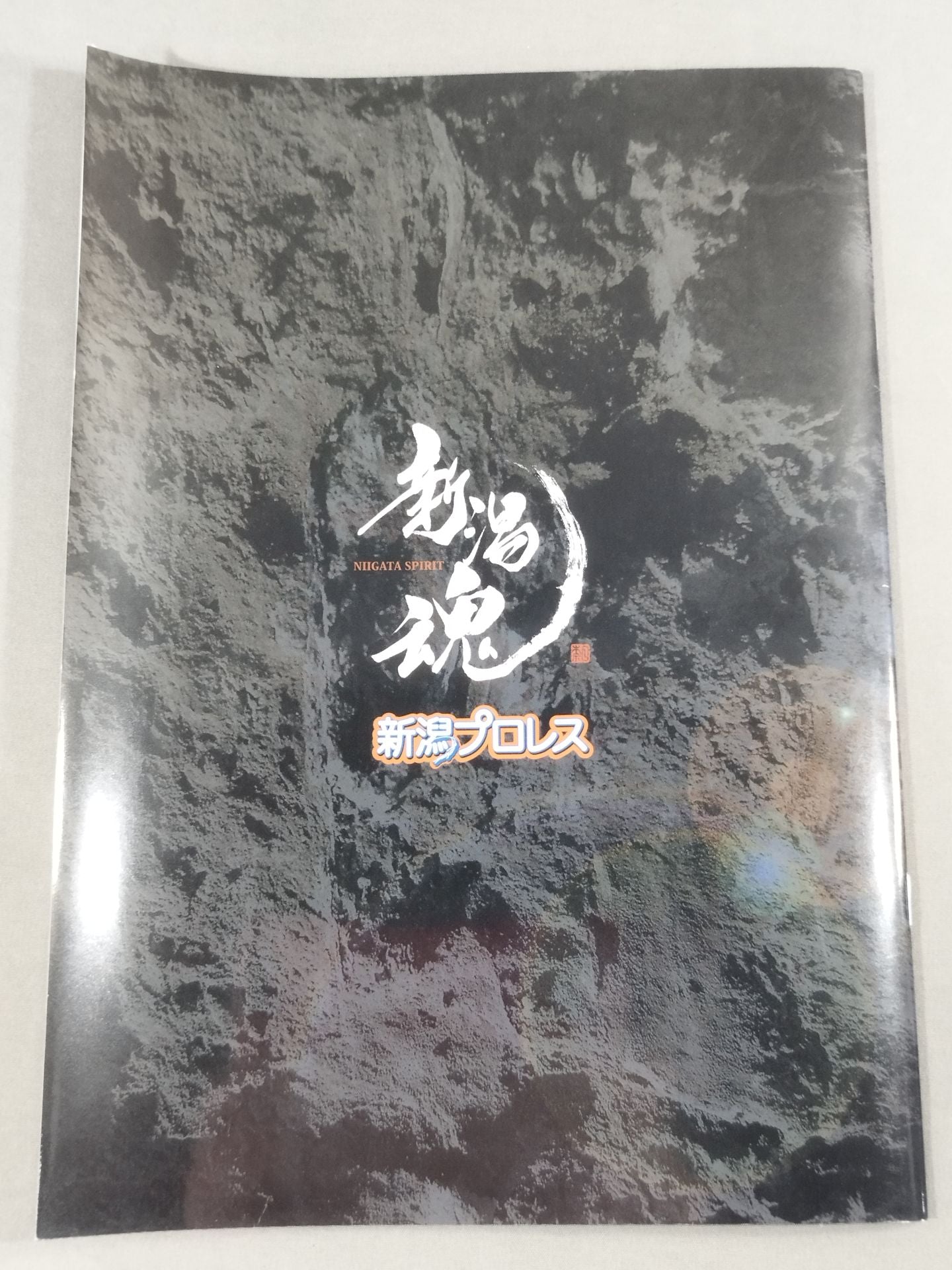 Niigata Pro Wrestling  5th Anniversary Tournament