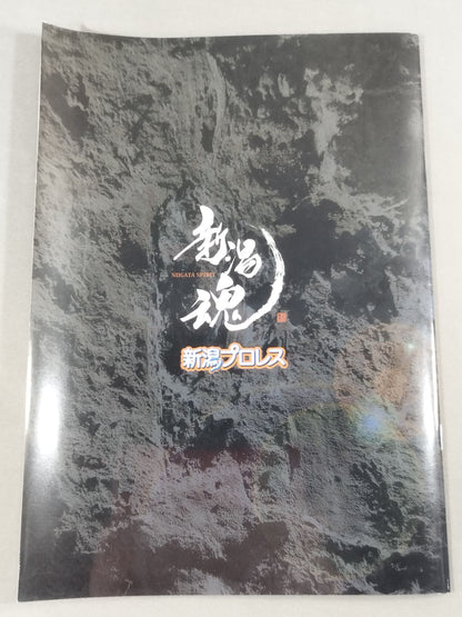Niigata Pro Wrestling  5th Anniversary Tournament