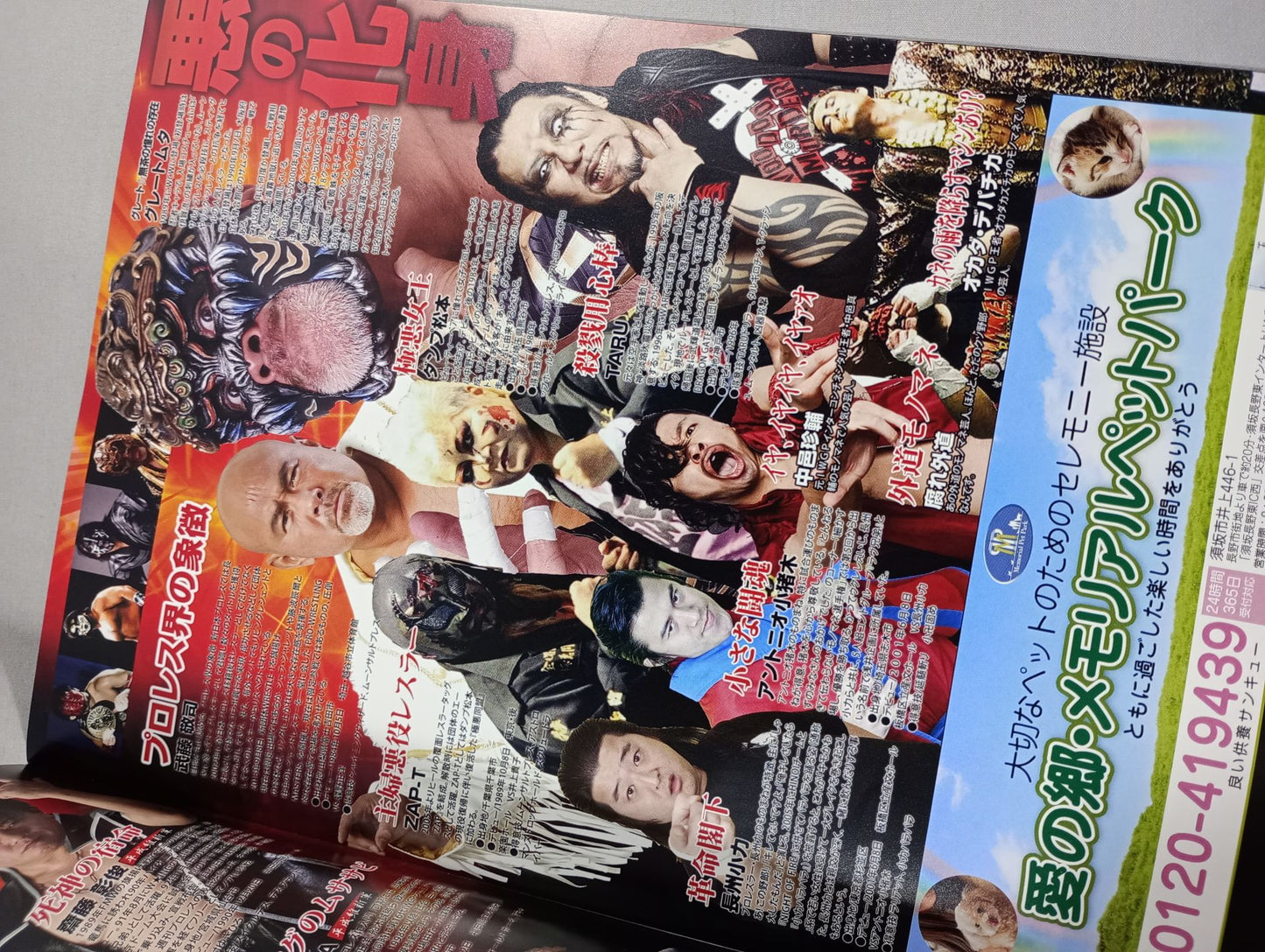 Shinshu Pro Wrestling  / Mucha Fes 2017 in Big Hat 2