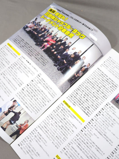 New Year's Eve Pro Wrestling  2015Promotion  Shuffle Tag Team Tournament