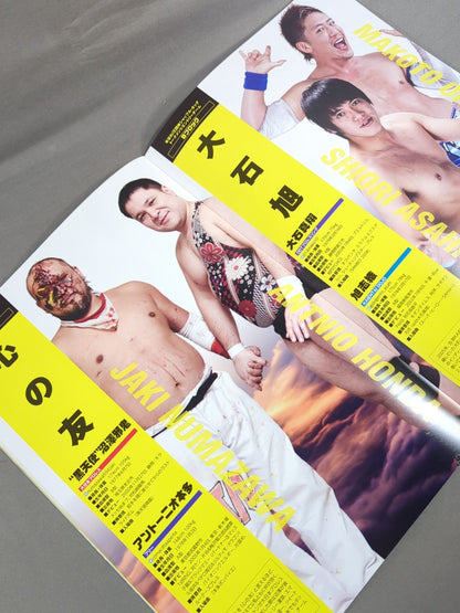 New Year's Eve Pro Wrestling  2015Promotion  Shuffle Tag Team Tournament