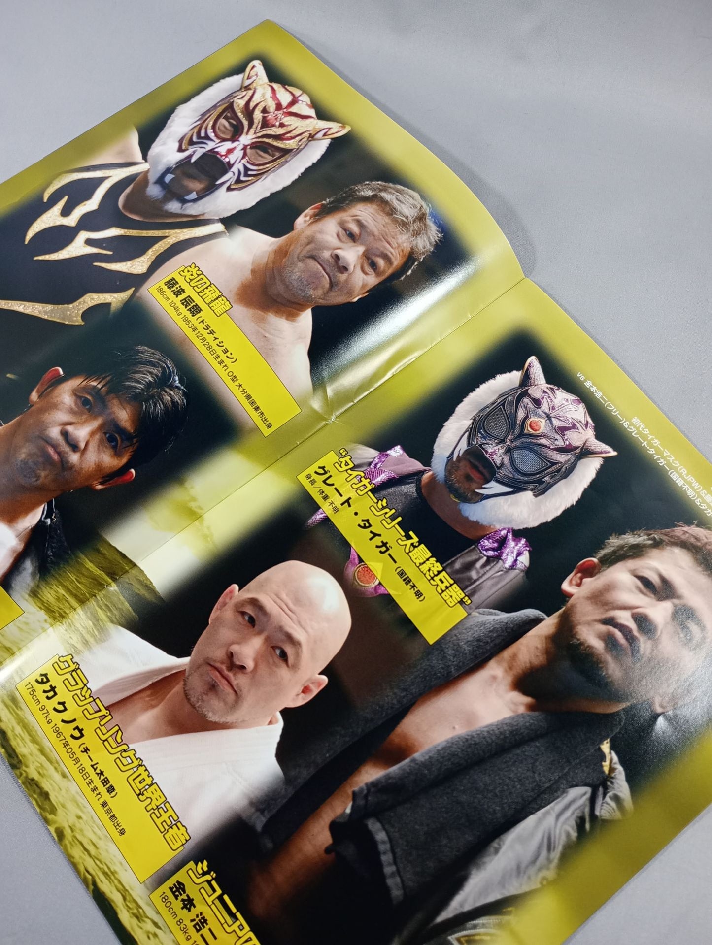 Real Japan Pro Wrestling  Vol.26 / STRONG STYLE