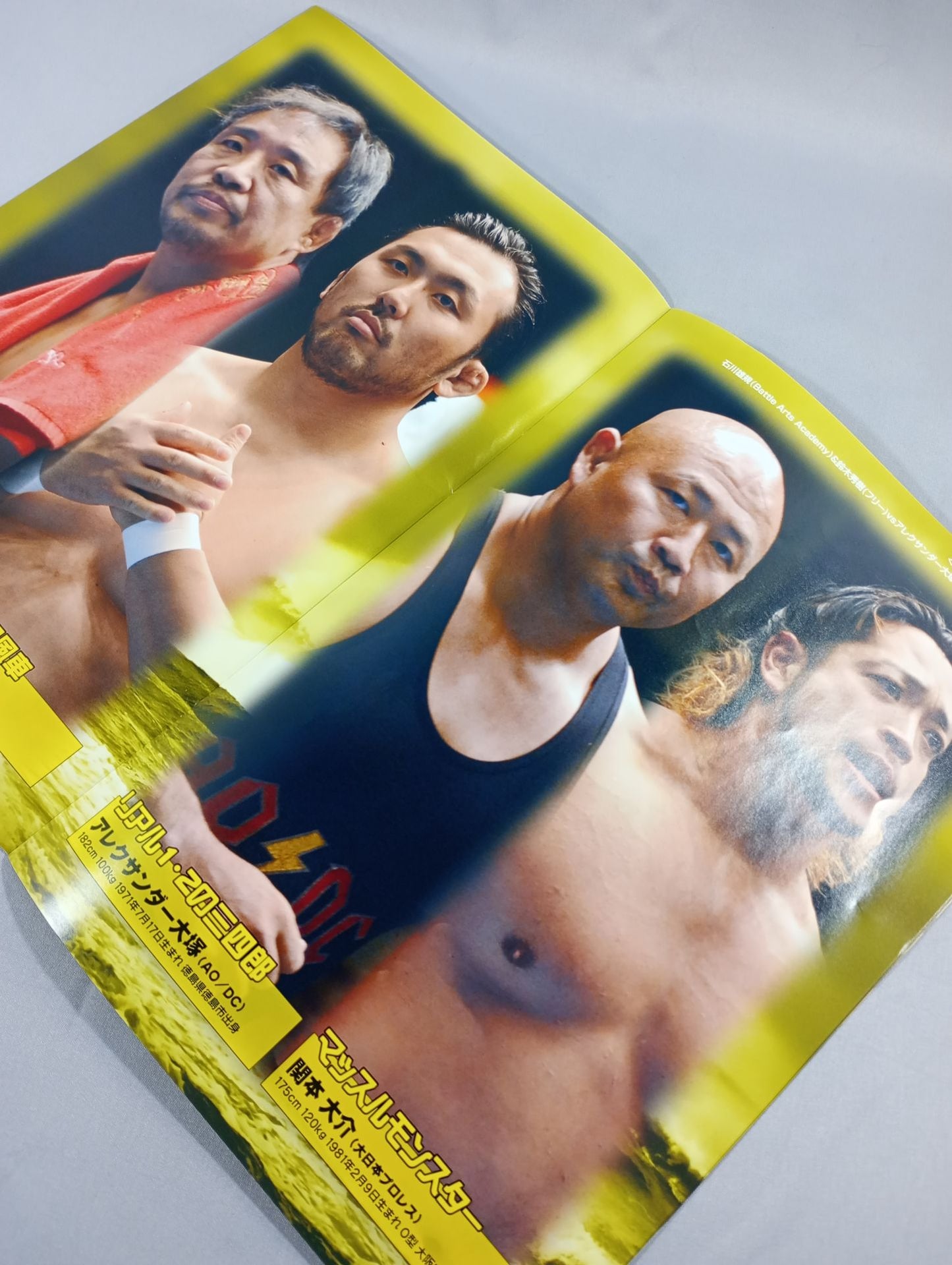 Real Japan Pro Wrestling  Vol.26 / STRONG STYLE