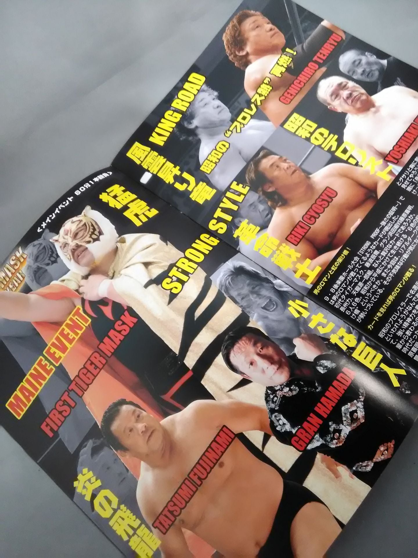 Real Japan Pro Wrestling  Vol.11 / STRONG PROOF ~Proof of Strength~