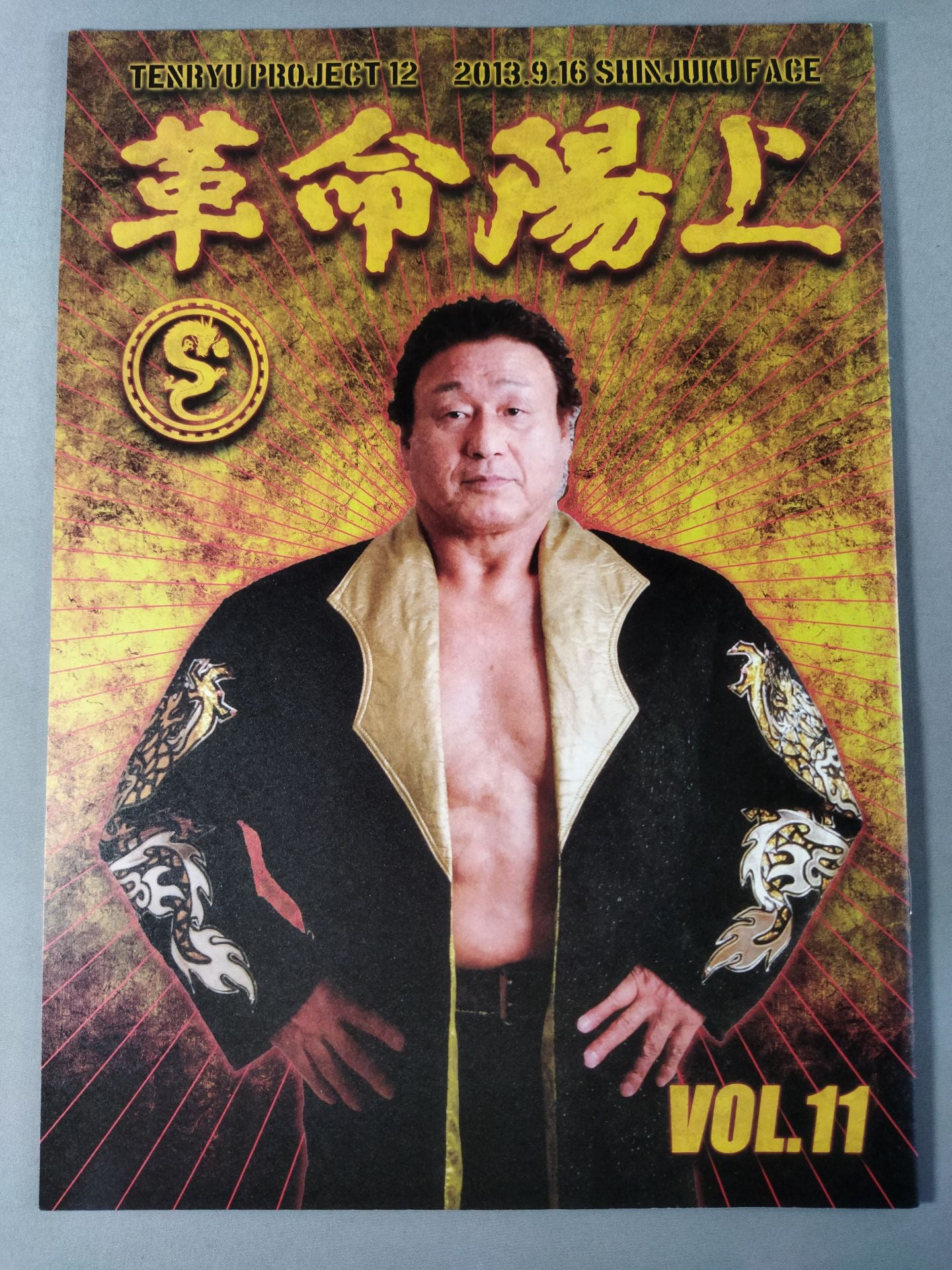 天龍プロジェクト Vol.11 / 革命陽上