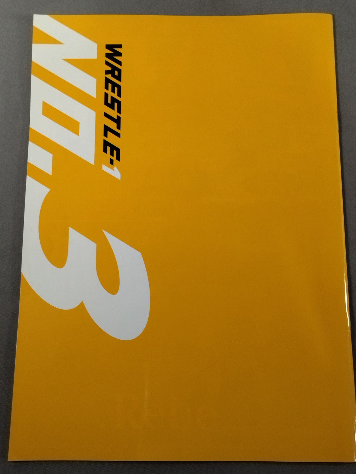 WRESTLE-1  No.3 / TOUR 2013