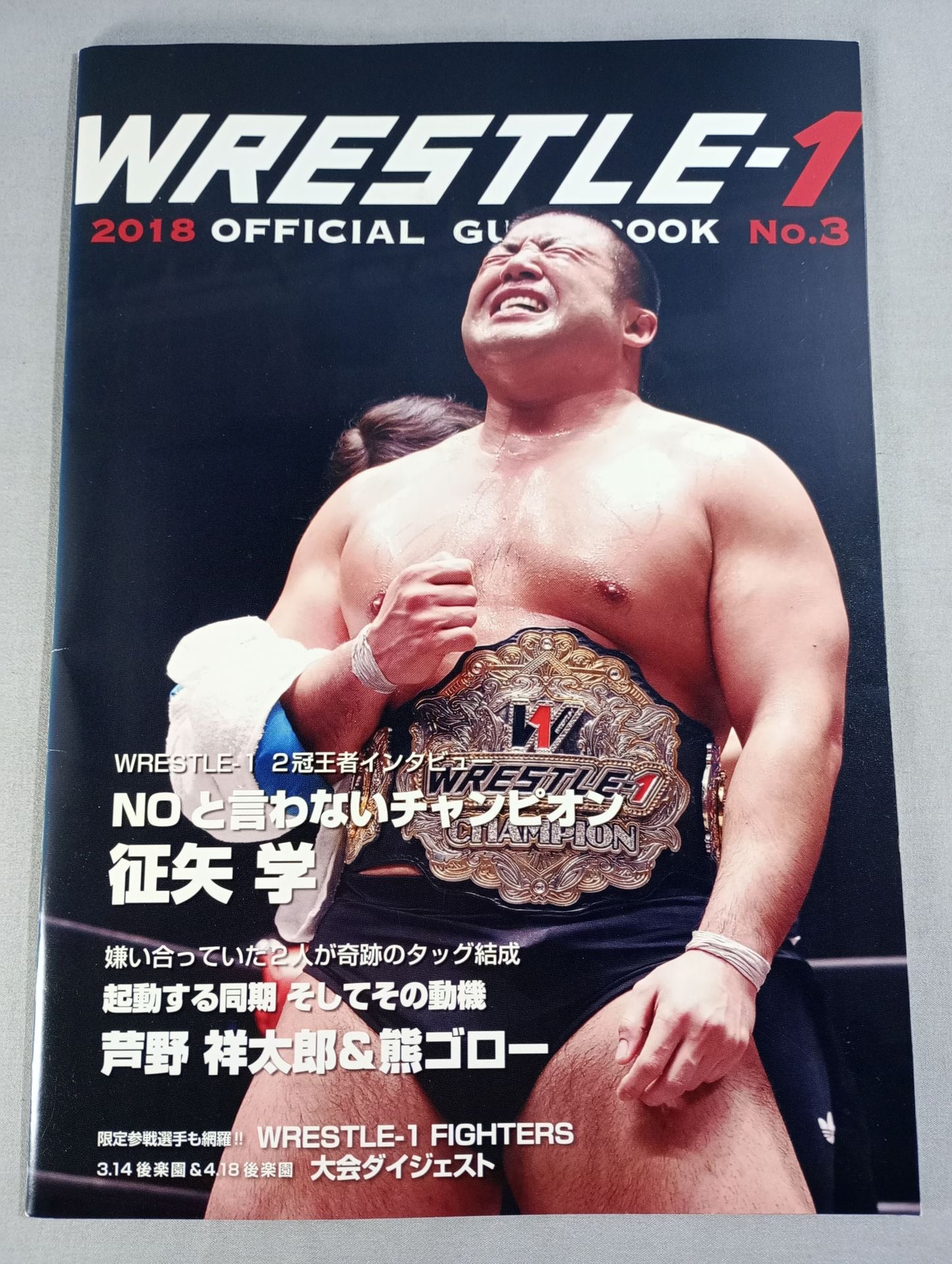 [7 fighters hand signed autograph WRESTLE-1  OFFICIAL GUIDE BOOK 2018 NO.3