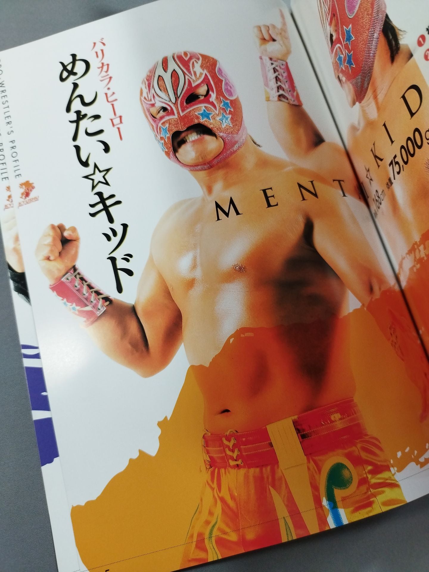 九州プロレス 7周年記念オフィシャル 元気にするバイ!!BOOK