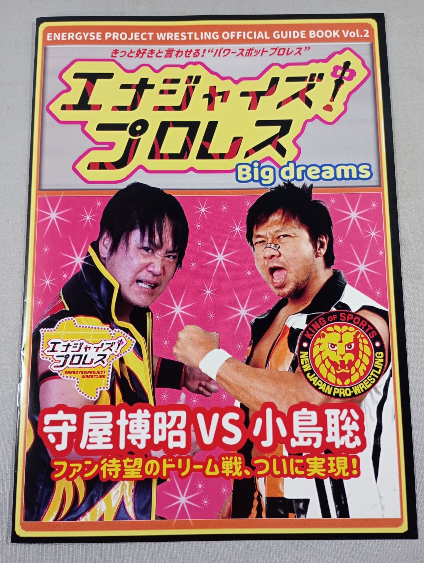 Energize! Pro Wrestling  Big dreams '23