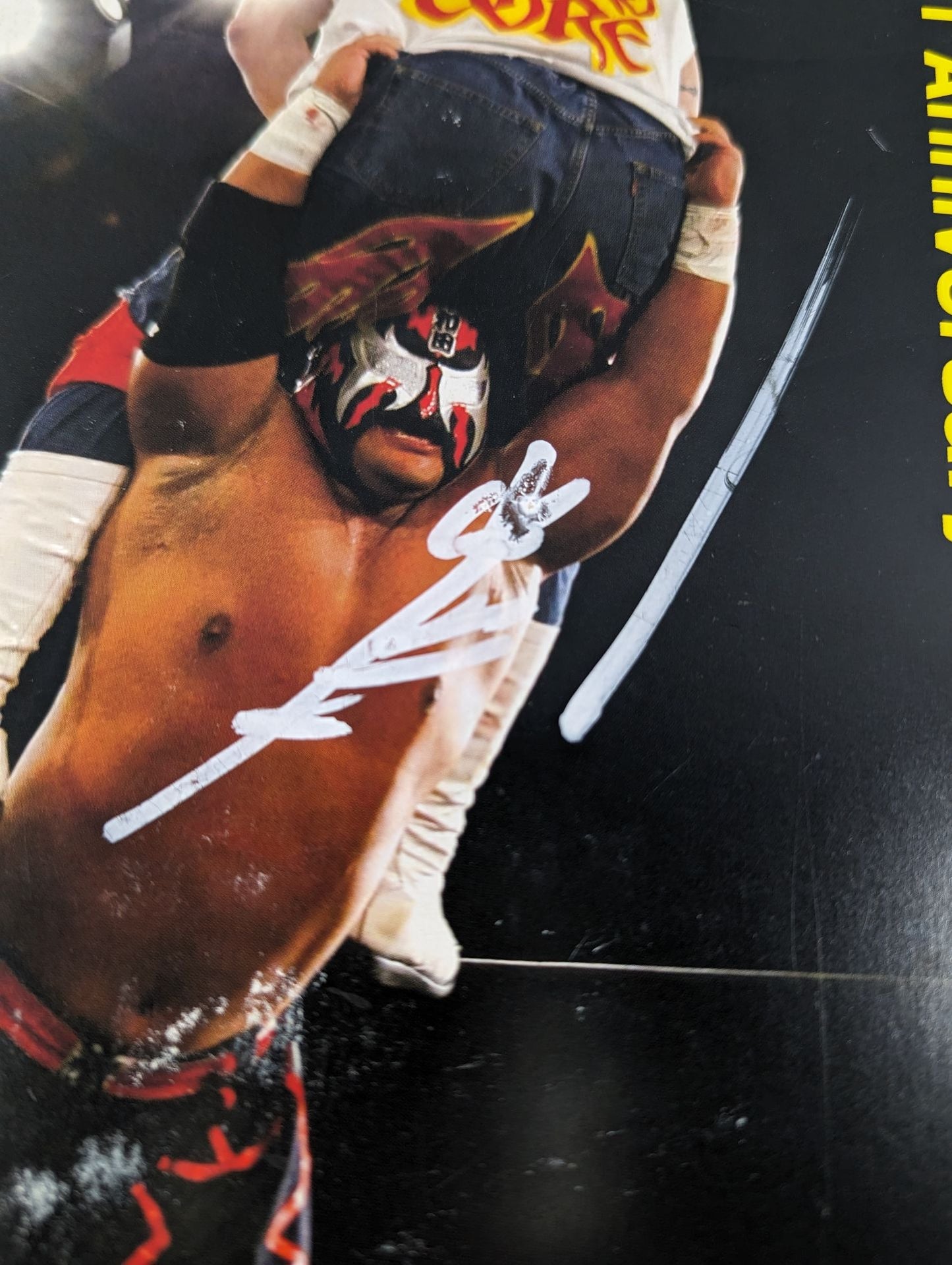 【hand signed autograph】 Magnitude Kishiwada 20th Anniversary Photograph collection