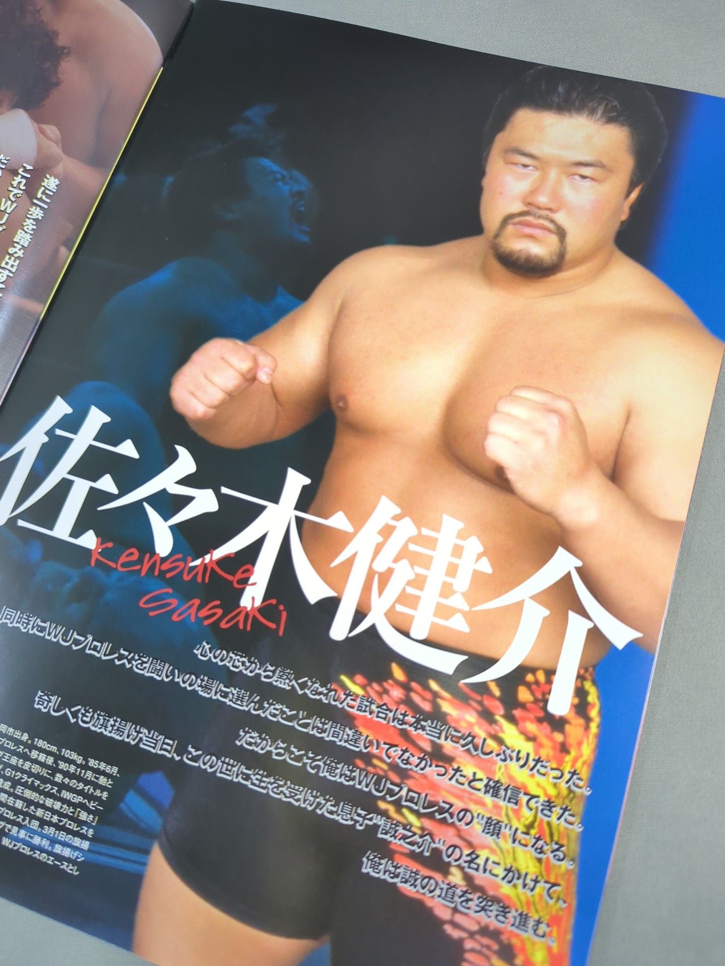 WJプロレス / MAGMA01 パワーホールシリーズ