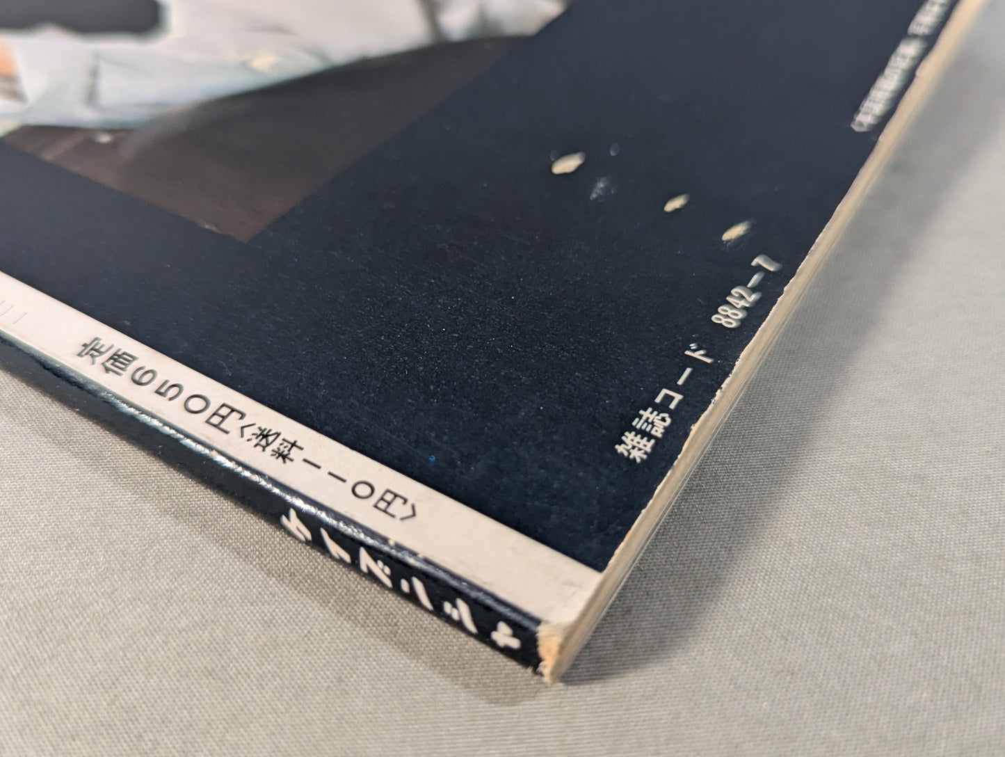 Definitive Edition Bruce Lee  Young Idol Now Special Extra Issue