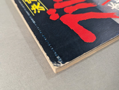 Definitive Edition Bruce Lee  Young Idol Now Special Extra Issue