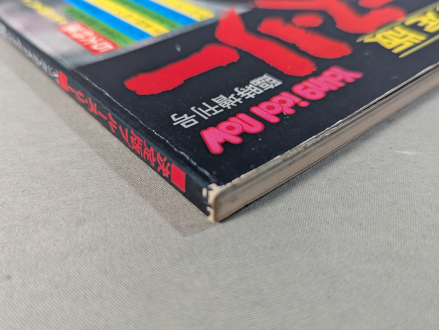 Definitive Edition Bruce Lee  Young Idol Now Special Extra Issue