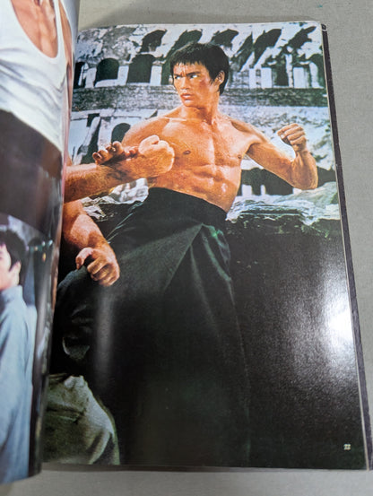 Definitive Edition Bruce Lee  Young Idol Now Special Extra Issue