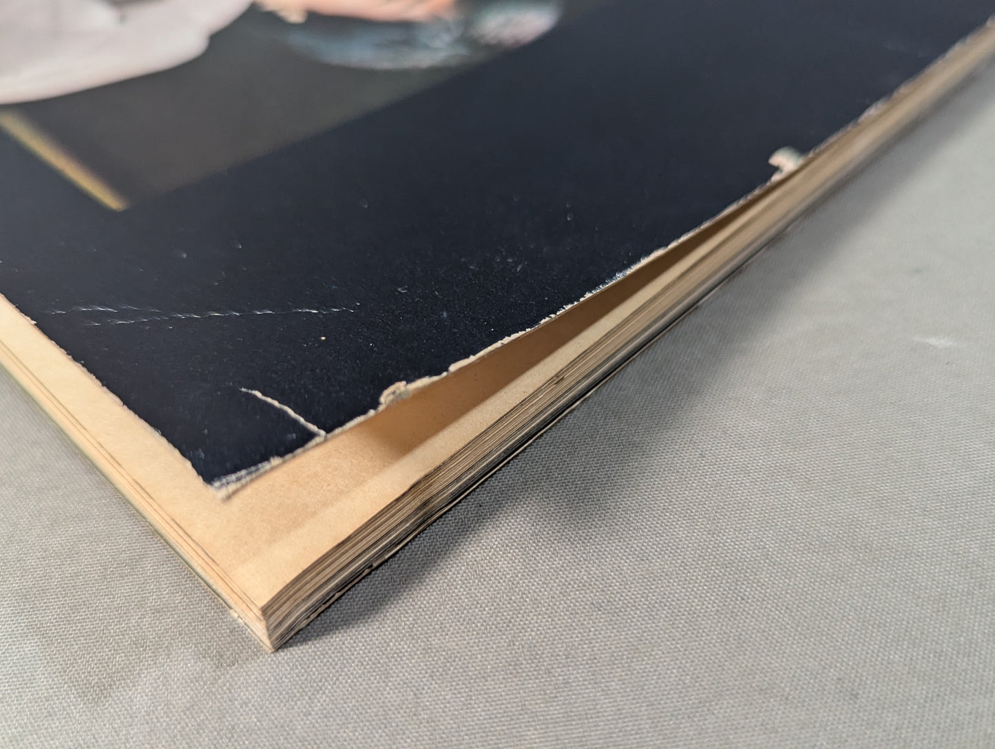 Definitive Edition Bruce Lee  Young Idol Now Special Extra Issue