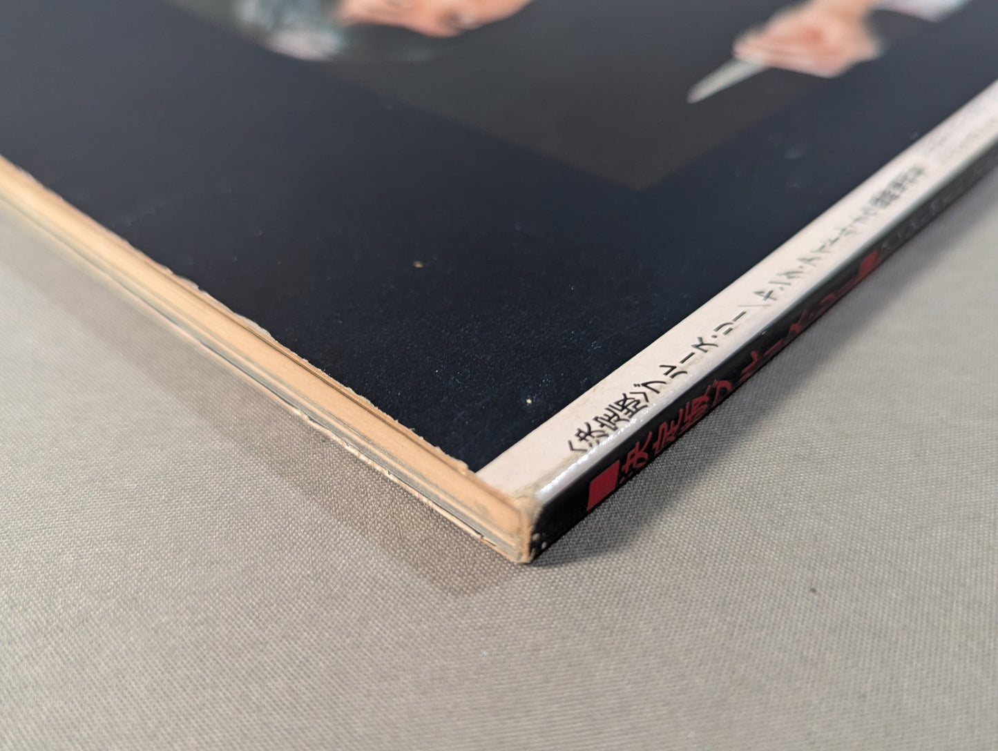 Definitive Edition Bruce Lee  Young Idol Now Special Extra Issue