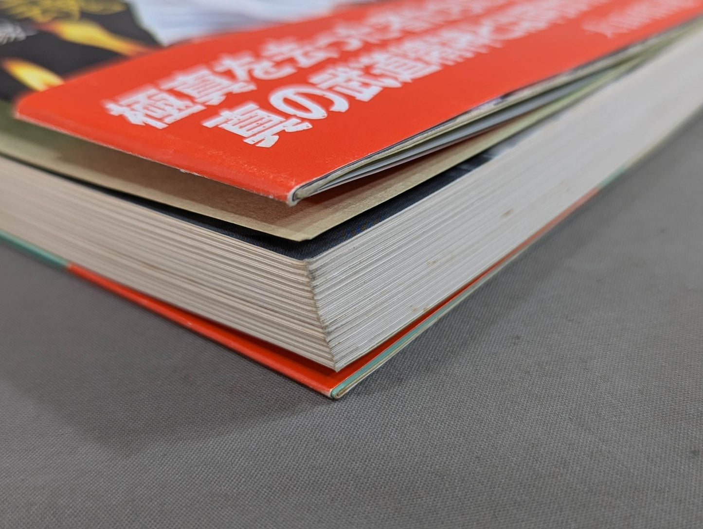 The true image of my Kyokushin