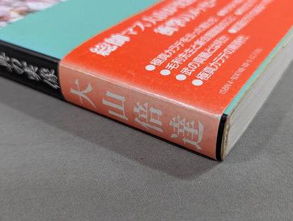 The true image of my Kyokushin