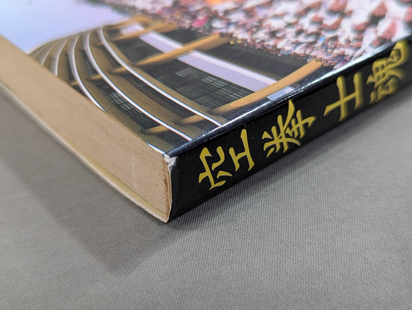 The true image of my Kyokushin