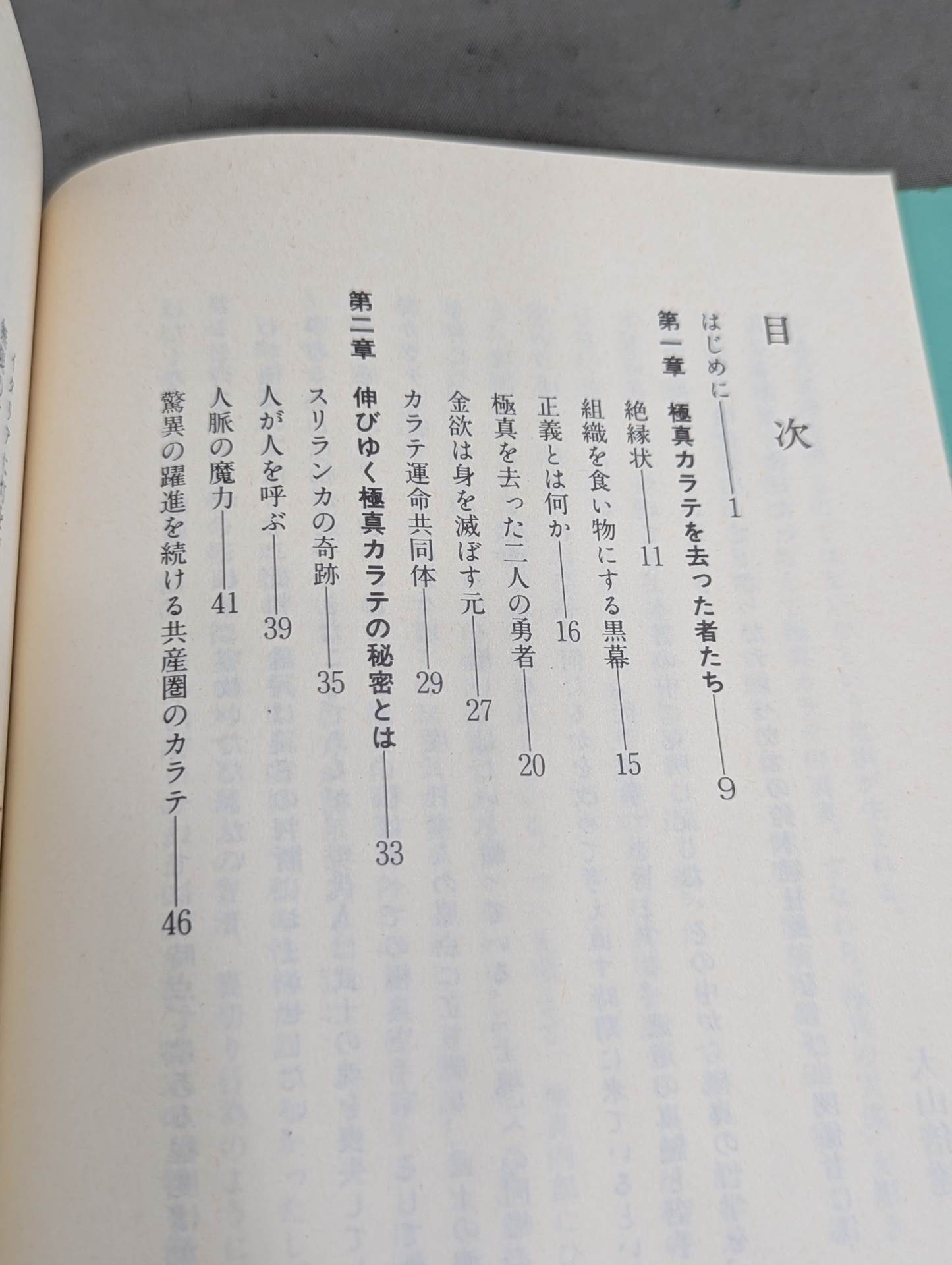 The true image of my Kyokushin