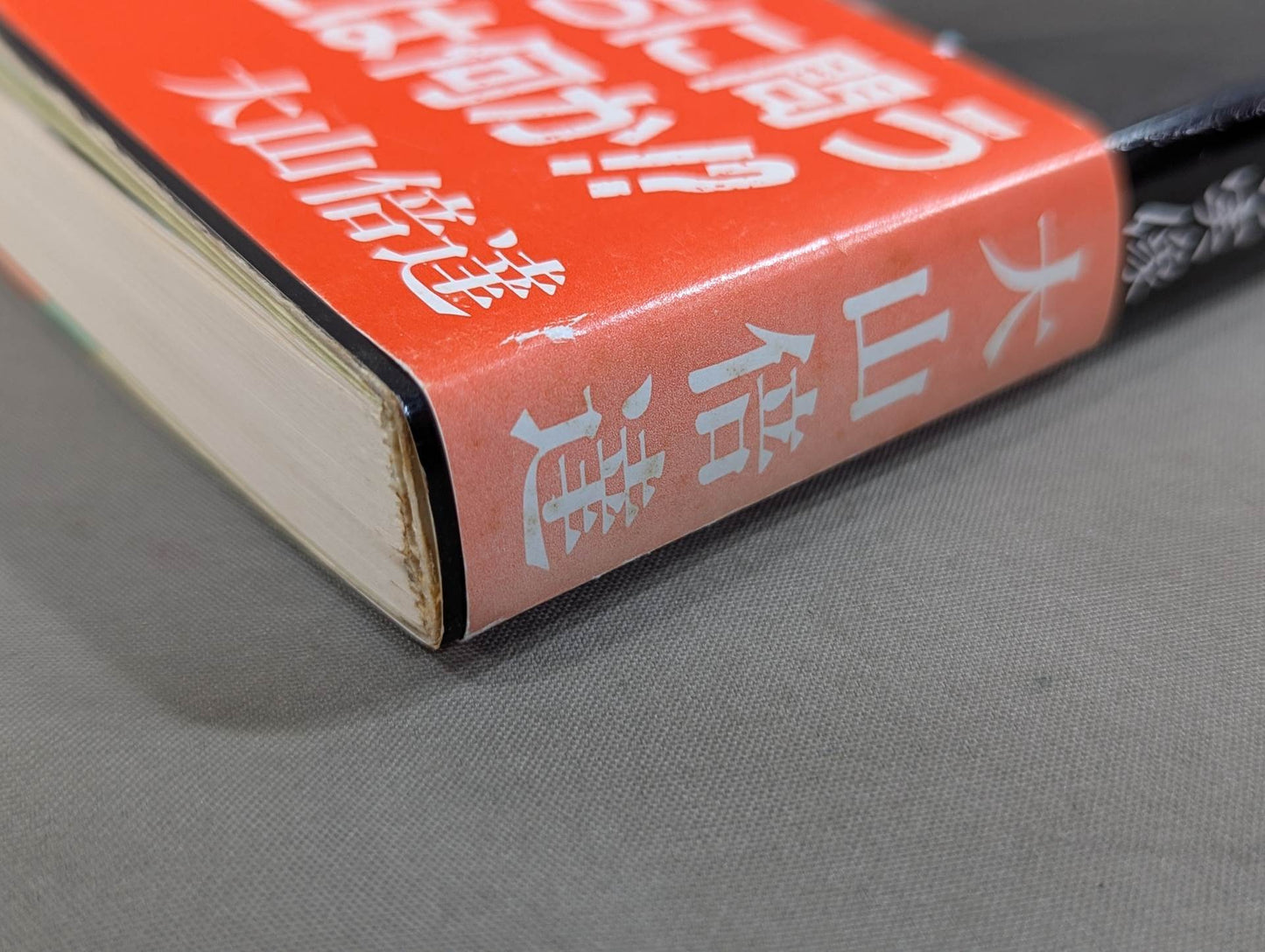 The true image of my Kyokushin