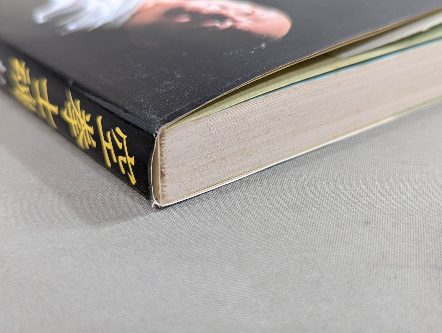 The true image of my Kyokushin