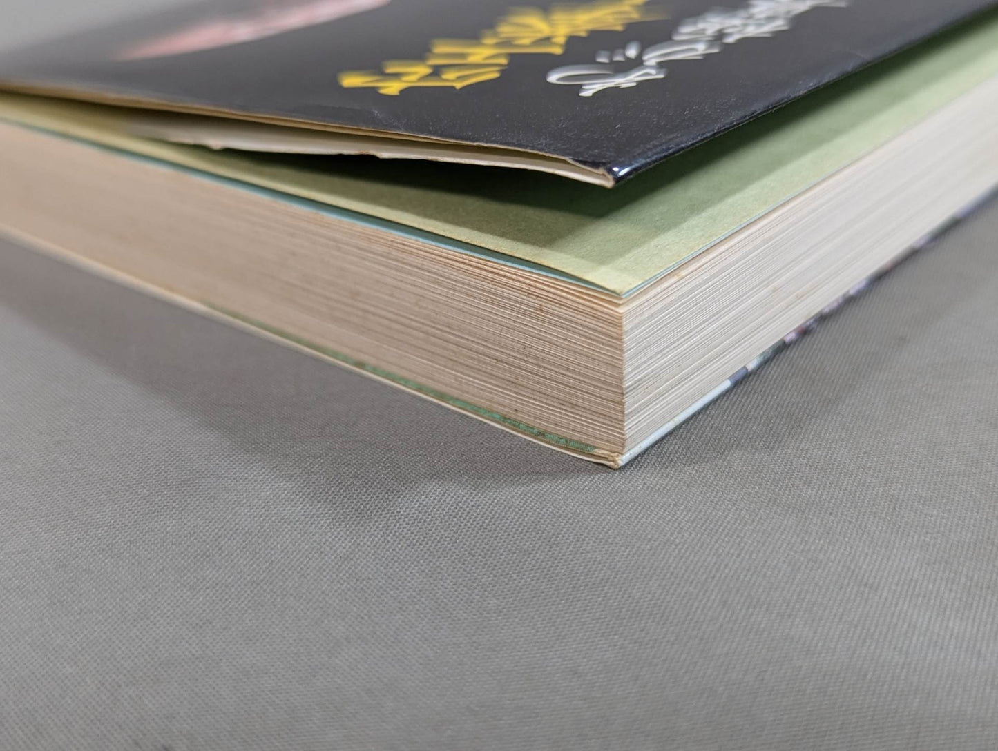 The true image of my Kyokushin