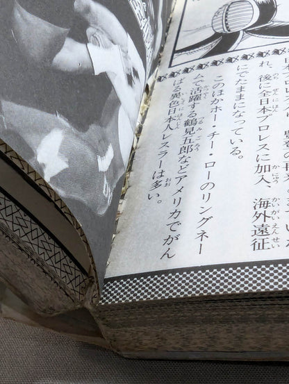Pro Wrestling  Encyclopedia Part.3 / Pro Wrestling The broadcast will become more and more fun!