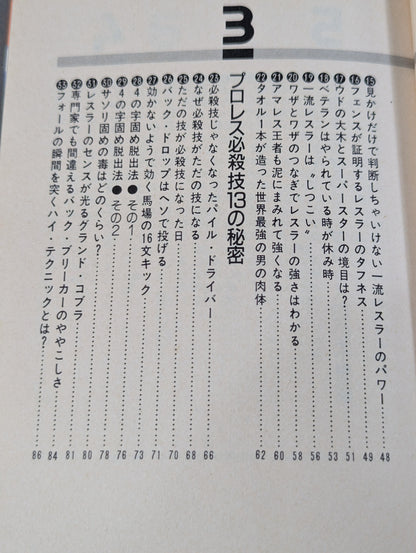 リングサイド㊙100か条  だからプロレスはおもしろい!