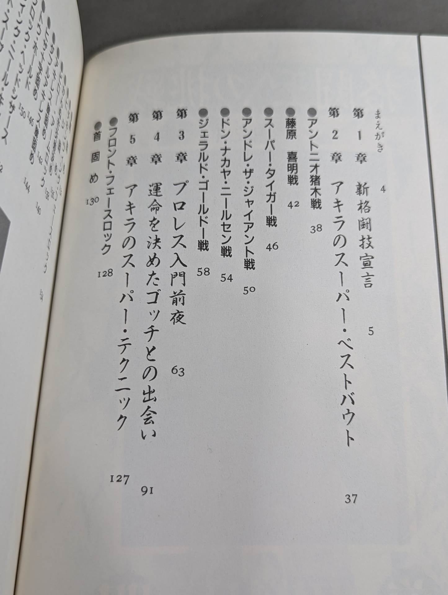 格闘王への挑戦