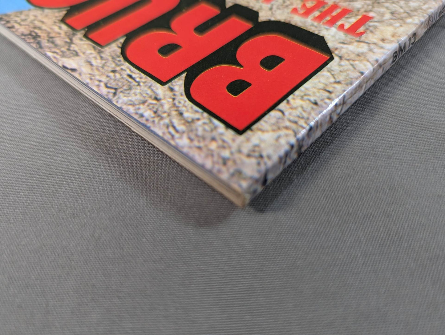 BRUCE LEE THE MARTIAL ARTS PHENOMENON