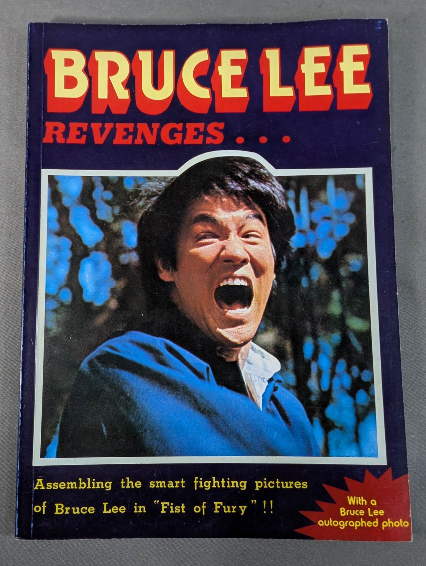 BRUCE LEE REVENGES...