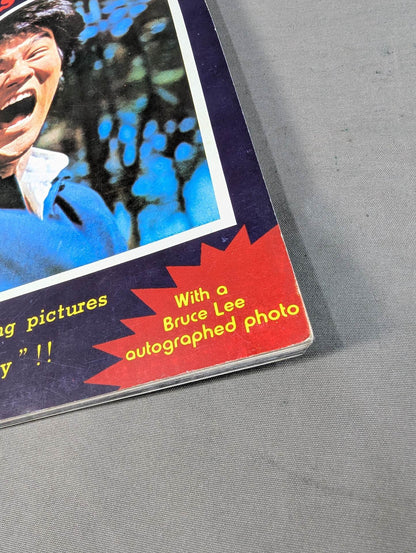 BRUCE LEE REVENGES...