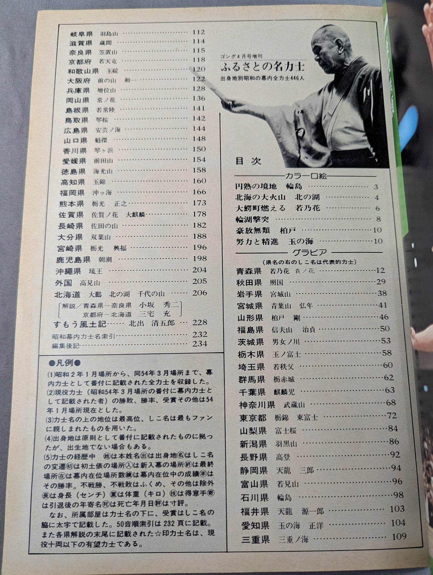 大相撲写真画報 ふるさとの名力士