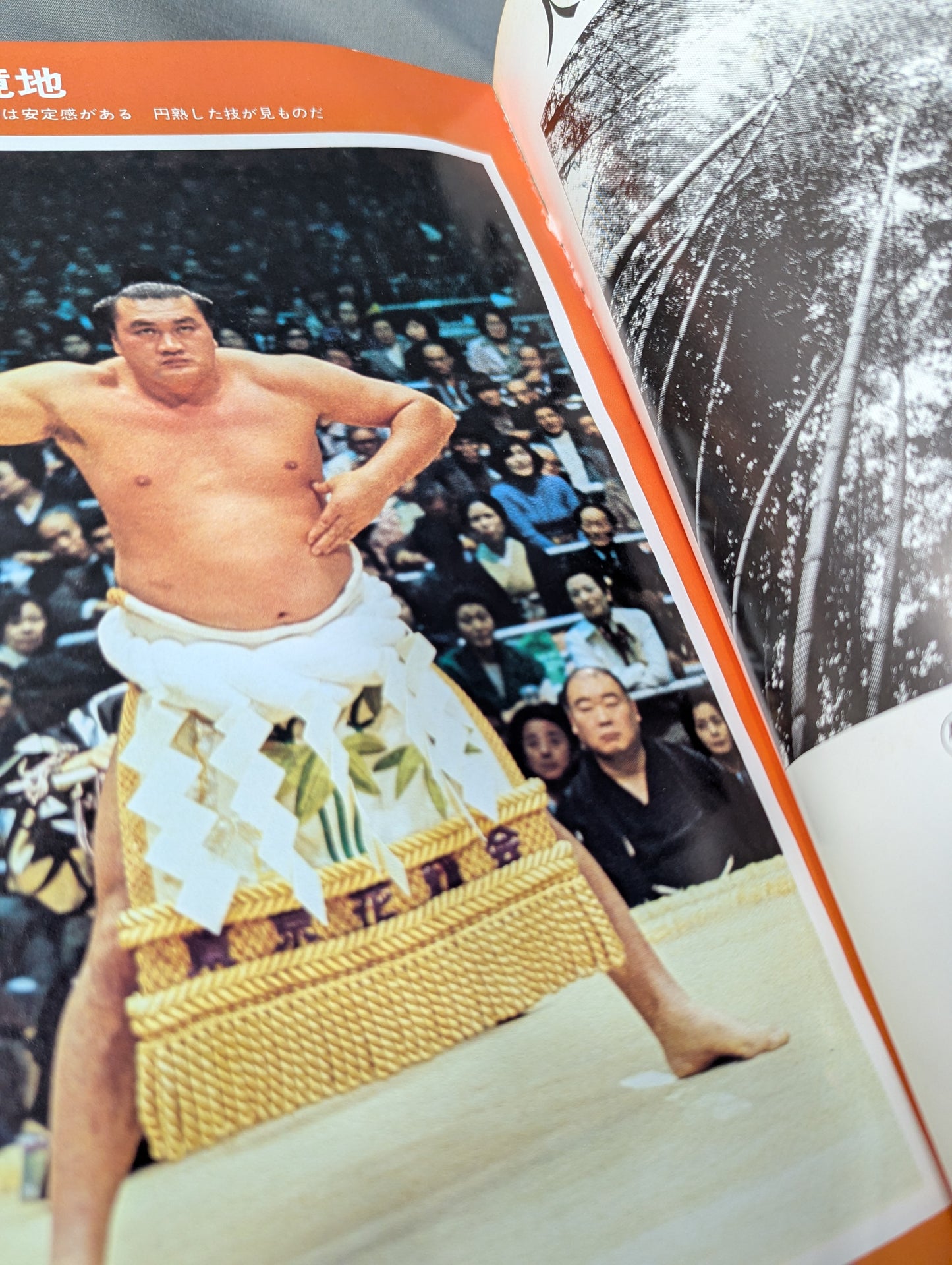 大相撲写真画報 ふるさとの名力士
