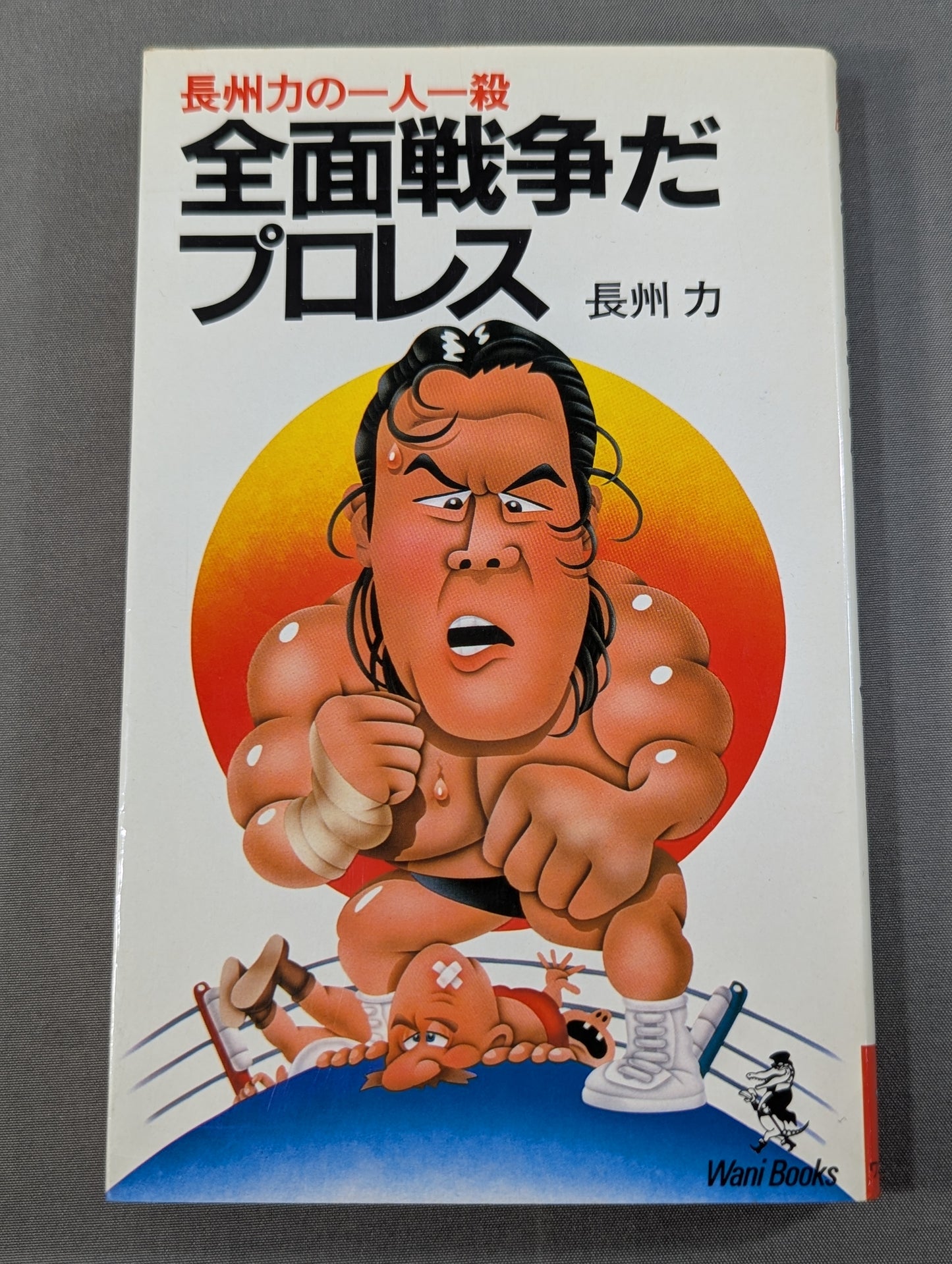 全面戦争だプロレス   長州力の一人一殺