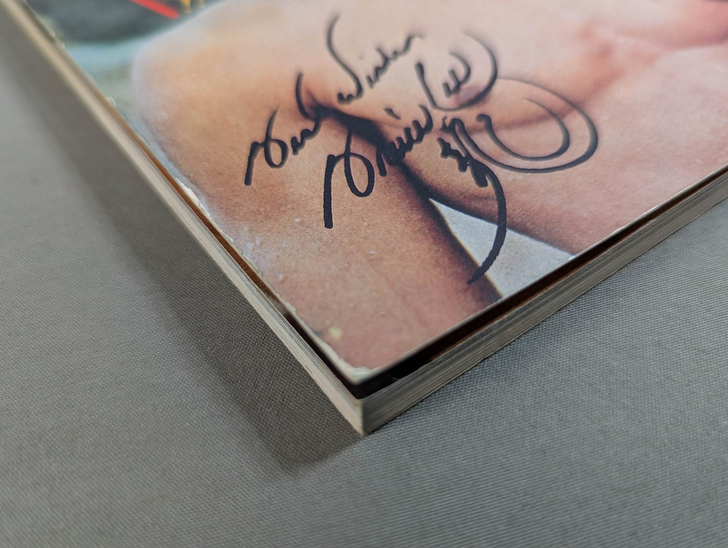 Definitive Edition Bruce Lee  Young Idol Now Special Extra Issue