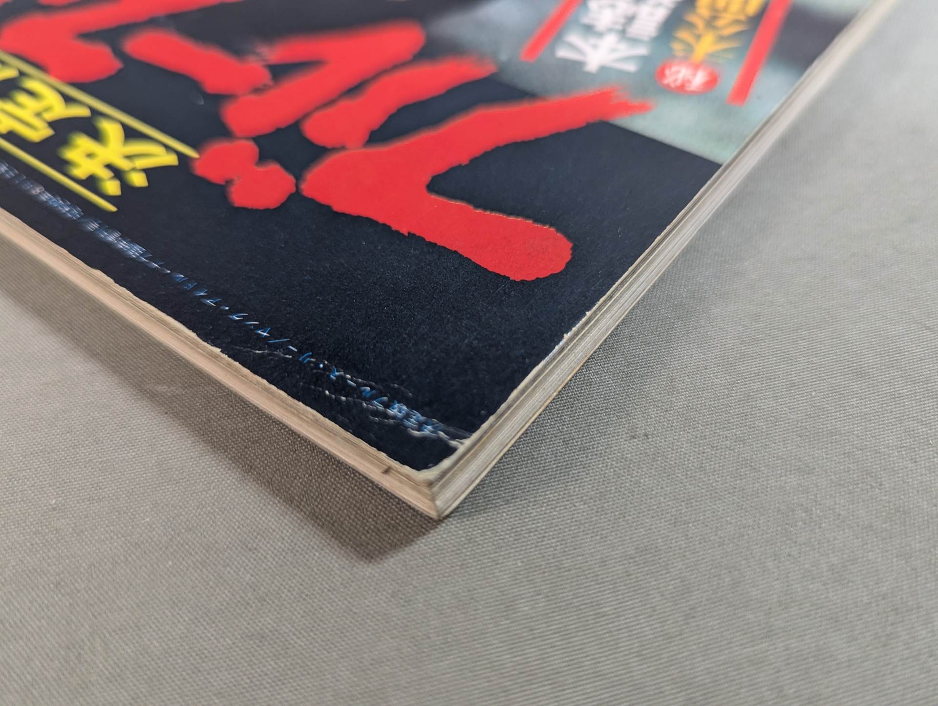 決定版ブルース・リー ヤングアイドルナウ臨時増刊号 – 闘道館