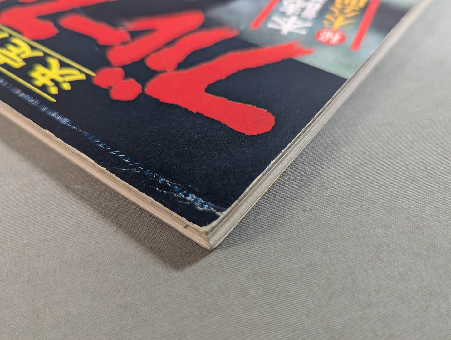 Definitive Edition Bruce Lee  Young Idol Now Special Extra Issue