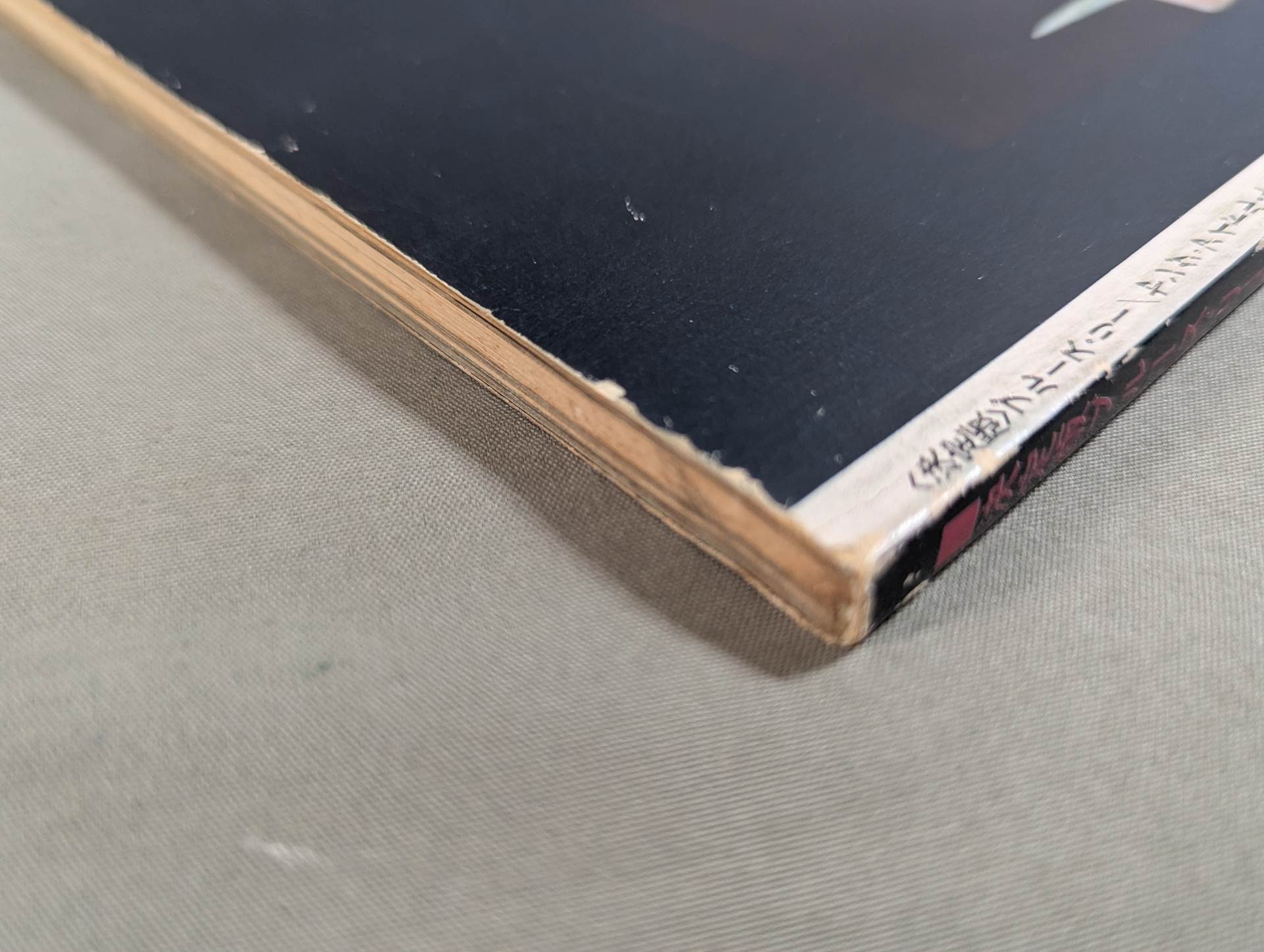 決定版ブルース・リー ヤングアイドルナウ臨時増刊号 – 闘道館