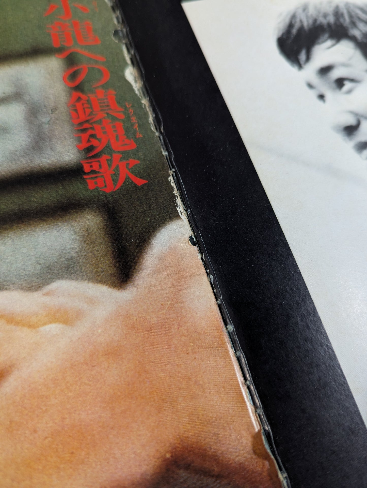 Definitive Edition Bruce Lee  Young Idol Now Special Extra Issue