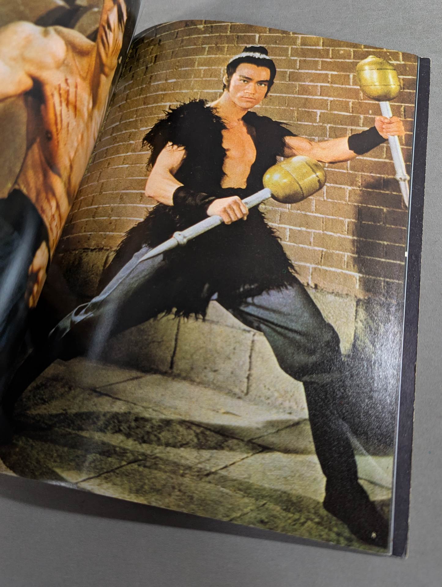 Definitive Edition Bruce Lee  Young Idol Now Special Extra Issue