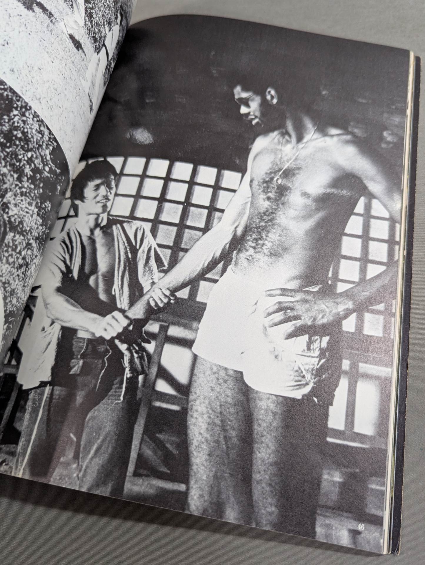 Definitive Edition Bruce Lee  Young Idol Now Special Extra Issue