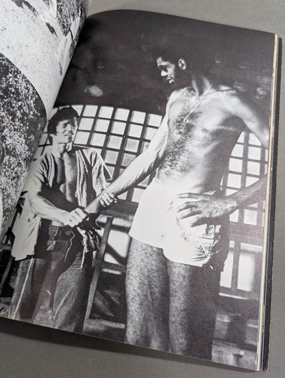 Definitive Edition Bruce Lee  Young Idol Now Special Extra Issue