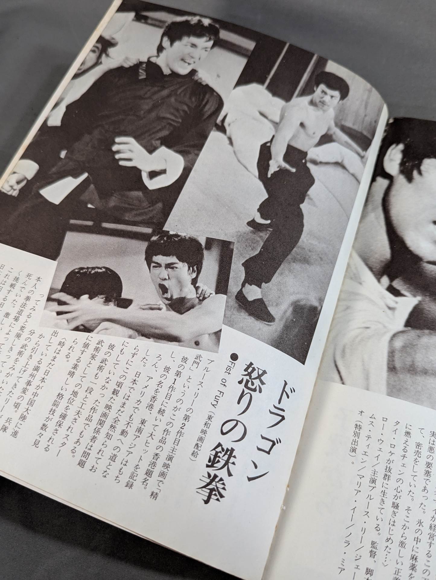 決定版ブルース・リー ヤングアイドルナウ臨時増刊号 – 闘道館